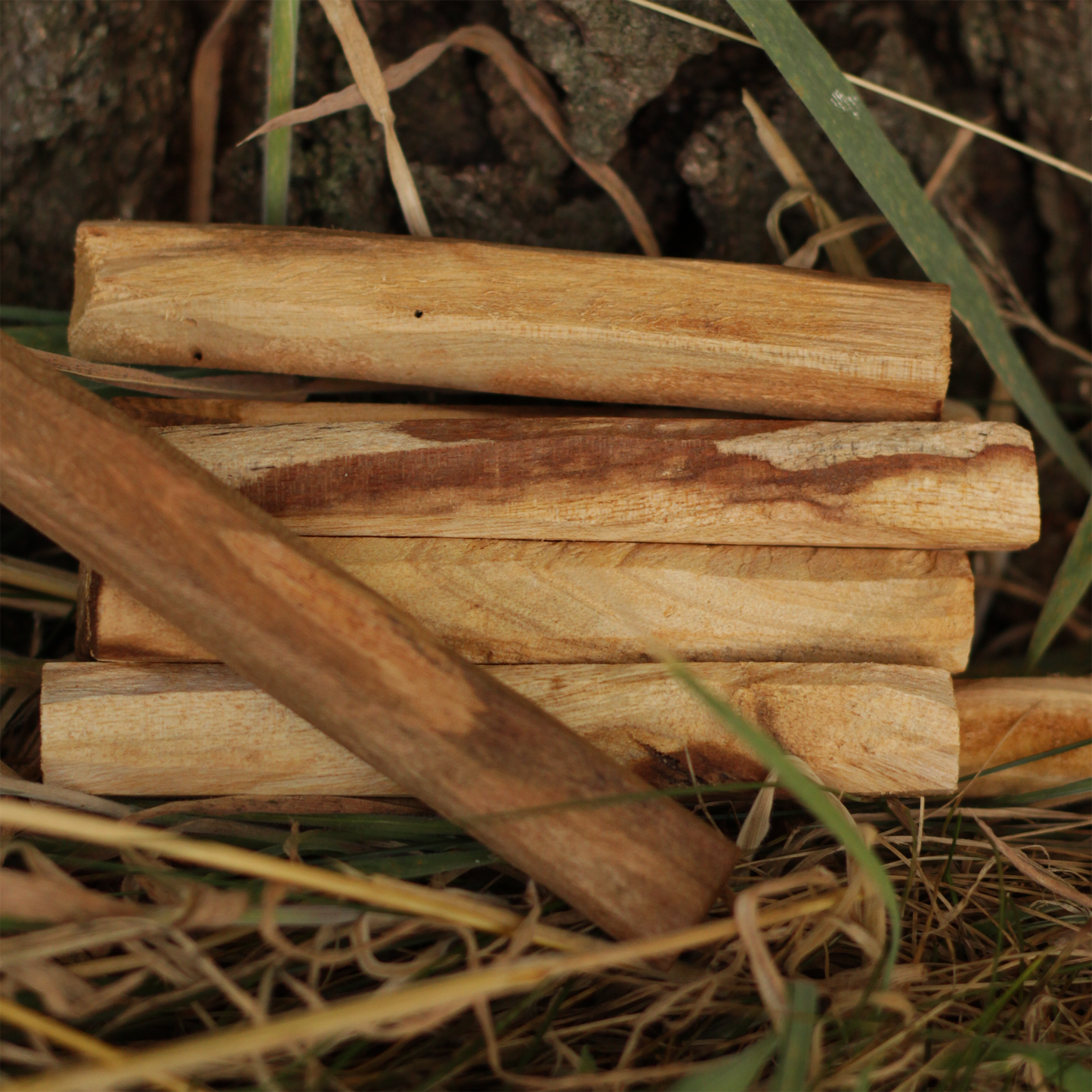 Palo Santo Stick