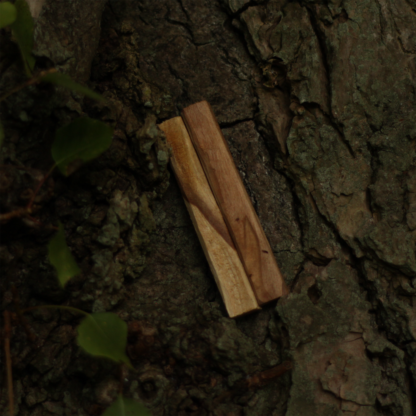 Palo Santo Stick